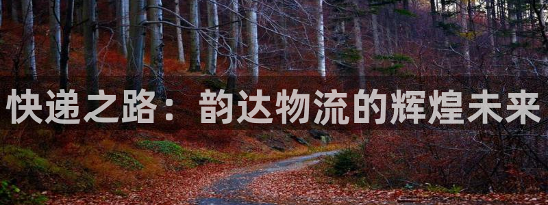 豪门国际加拿大预测