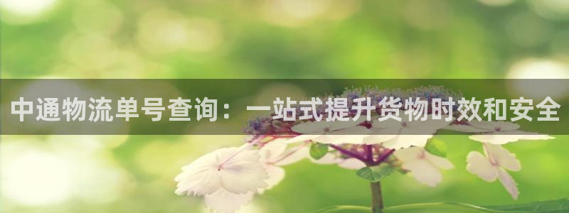 豪门国际官网入口pc29官网版下载