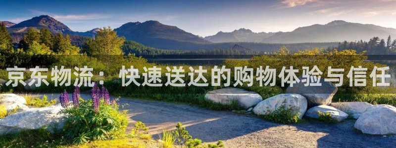 豪门国际充值不处理会怎么样