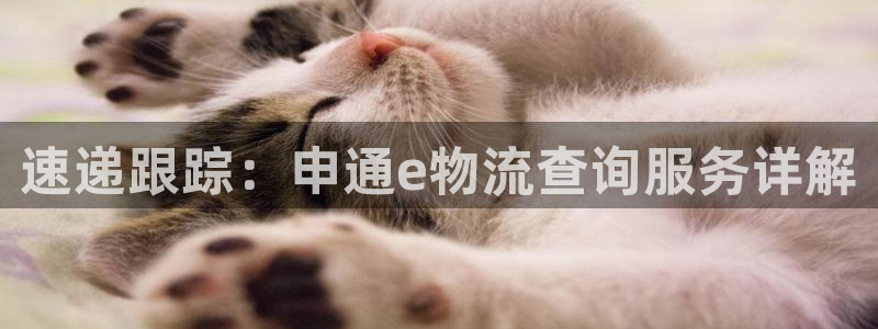 豪门国际v6能卖多少