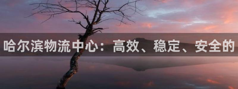 自行车豪门国际是什么意思:哈尔滨物流