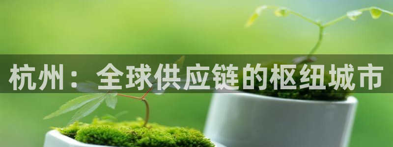 豪门国际代理落网：杭州：全球供应链的