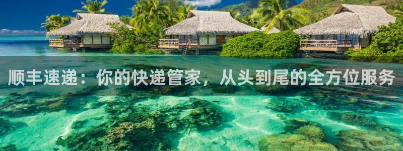 豪门国际的平台：顺丰速递：你的快递管家，从头到尾的全方位服务