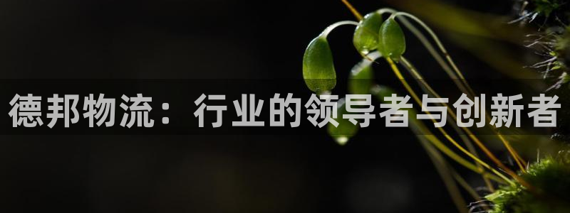 豪门国际加拿大官网：德邦物流：行业的