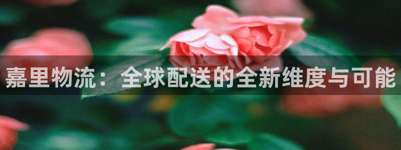 豪门国际注册平台：嘉里物流：全球配送