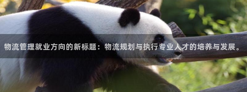 豪门国际PG电子游戏：物流管理就业方