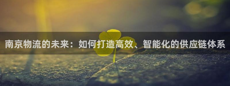豪门国际软件堵什么反什么：南京物流的