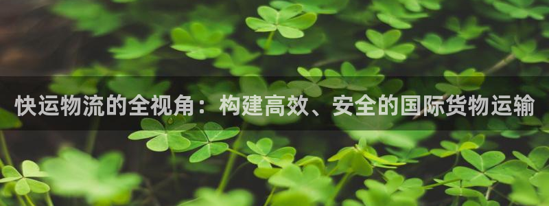 豪门国际怎么下载教程：快运物流的全视