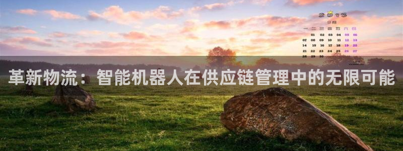 豪门国际官网下载链接是什么：革新物流