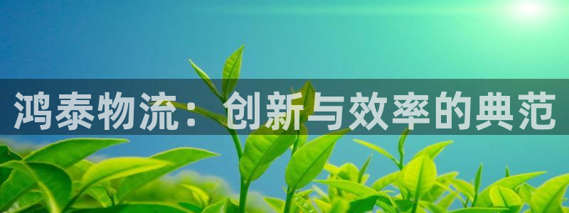 豪门国际官网下载APP：鸿泰物流：创新与效率的典范