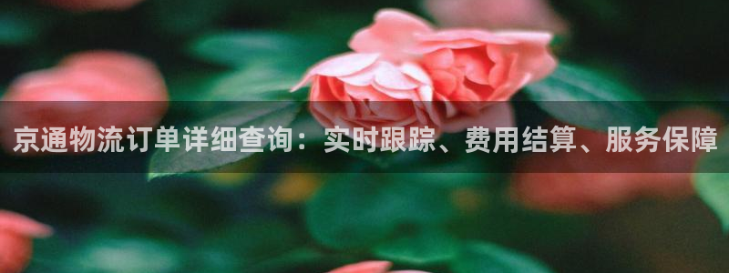 豪门国际选28ng官网