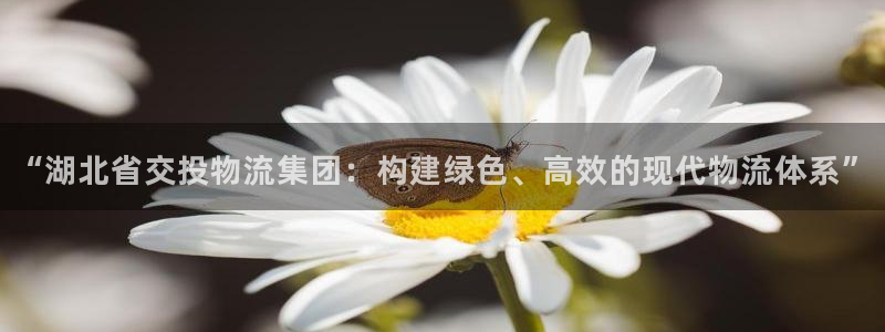 豪门国际选28ng官网：“湖北省交投物流集团：构建绿色、高效