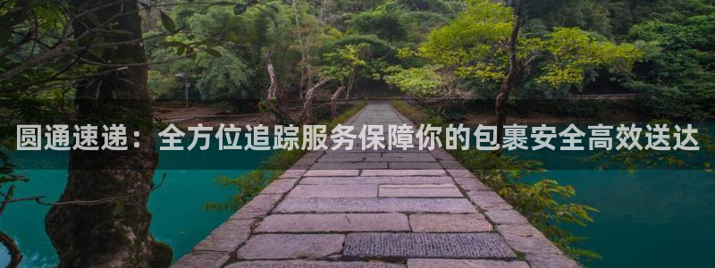 自行车豪门国际是什么意思