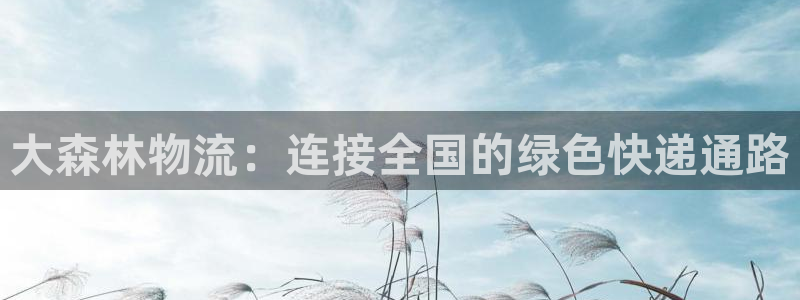 豪门国际哪个最赚钱