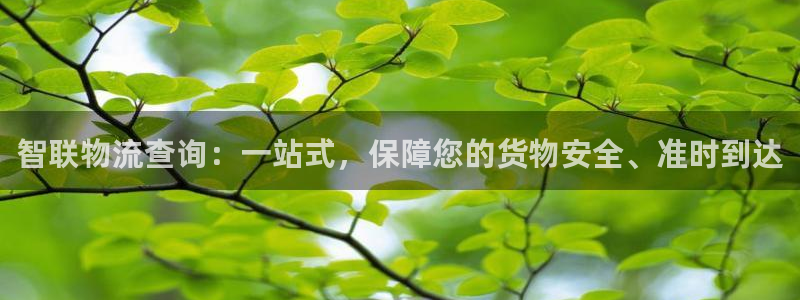 豪门国际游戏官网入口:智联物流查询: