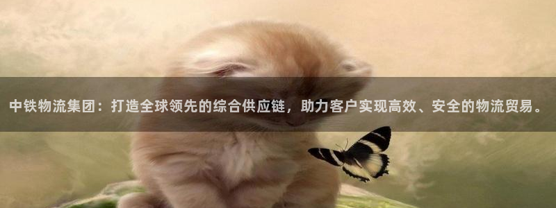 豪门国际大神预测：中铁物流集团：打造全球领先的综合供应链，助
