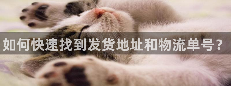 豪门国际人工客服电话是什么:如何快速