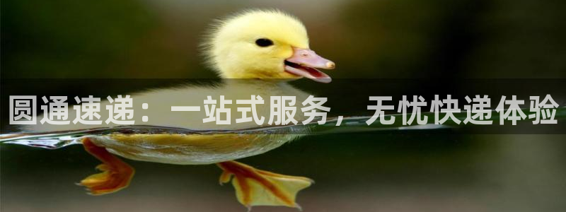 豪门国际入口问一问：圆通速递：一站式服务，无忧快递体验