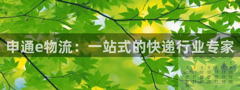 豪门国际选28ng官网:申通e物流: