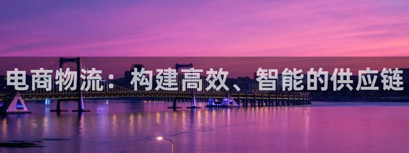 豪门国际cn:电商物流:构建高效、智
