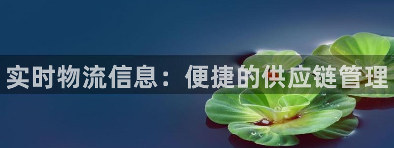 豪门国际官方网站是多少：实时物流信息：便捷的供应链管理