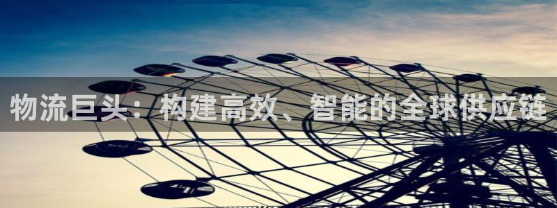 豪门国际官网入口:物流巨头:构建高效