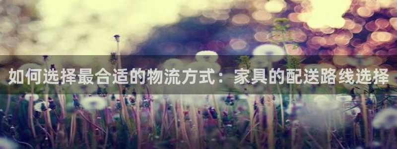 豪门国际和南宫28什么关系:如何选择
