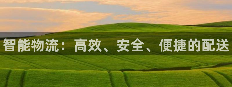 豪门国际下载不了：智能物流：高效、安
