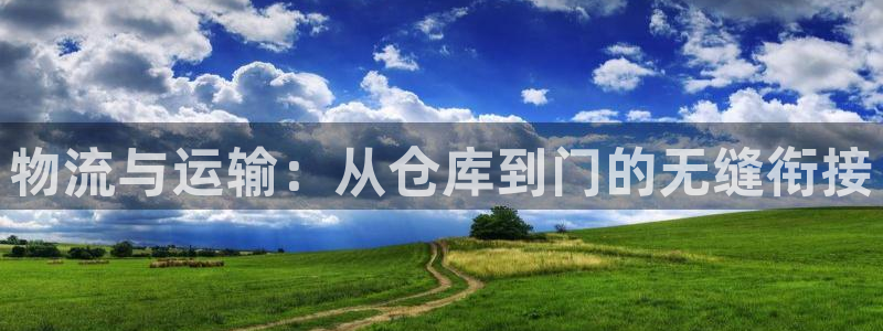 豪门国际反水:物流与运输:从仓库到门